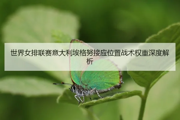 shi-jie-nv-pai-lian-sai-yi-da-li-ai-ge-nu-jie-ying-wei-zhi-zhan-shu-quan-zhong-shen-du-jie-xi-3-794.jpg