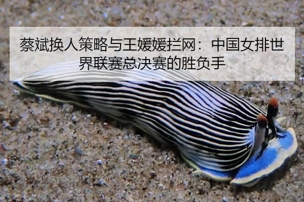 cai-bin-huan-ren-ce-lve-yu-wang-yuan-yuan-lan-wang-zhong-guo-nv-pai-shi-jie-lian-sai-zong-jue-sai-de-sheng-fu-shou-2-664.jpg